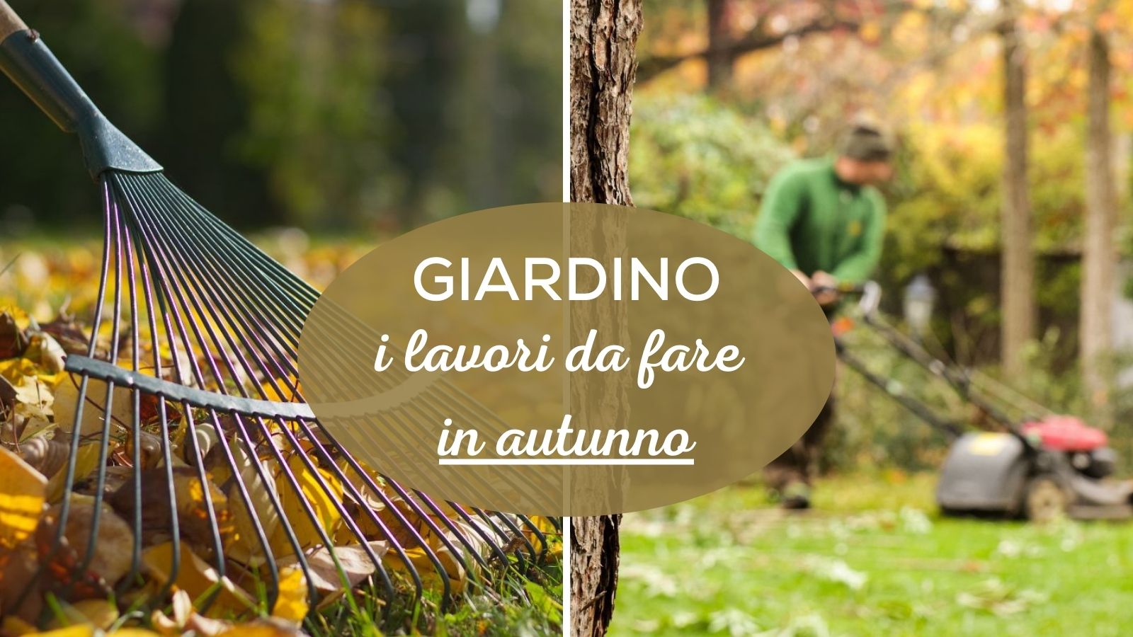 SINJEUN 4 Mini Rastrelli Da Giardino A 9 Artigli In Acciaio A3 - Manico Arancione E Nero, Rastrelli Per Foglie, Piccoli Detriti, Ideale Per Giardinaggio Fai Da Te