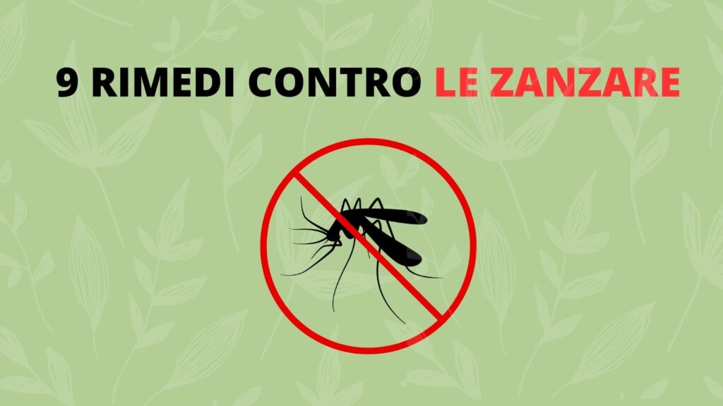Nove rimedi contro le zanzare