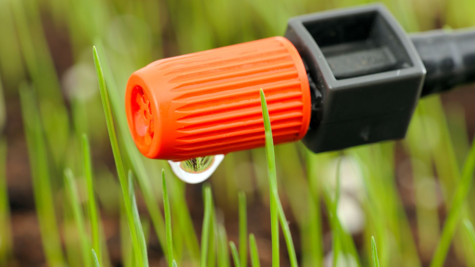 Kit di irrigazione goccia a goccia 30 punti di irrigazione RAIN autocompensanti | Leroy Merlin
